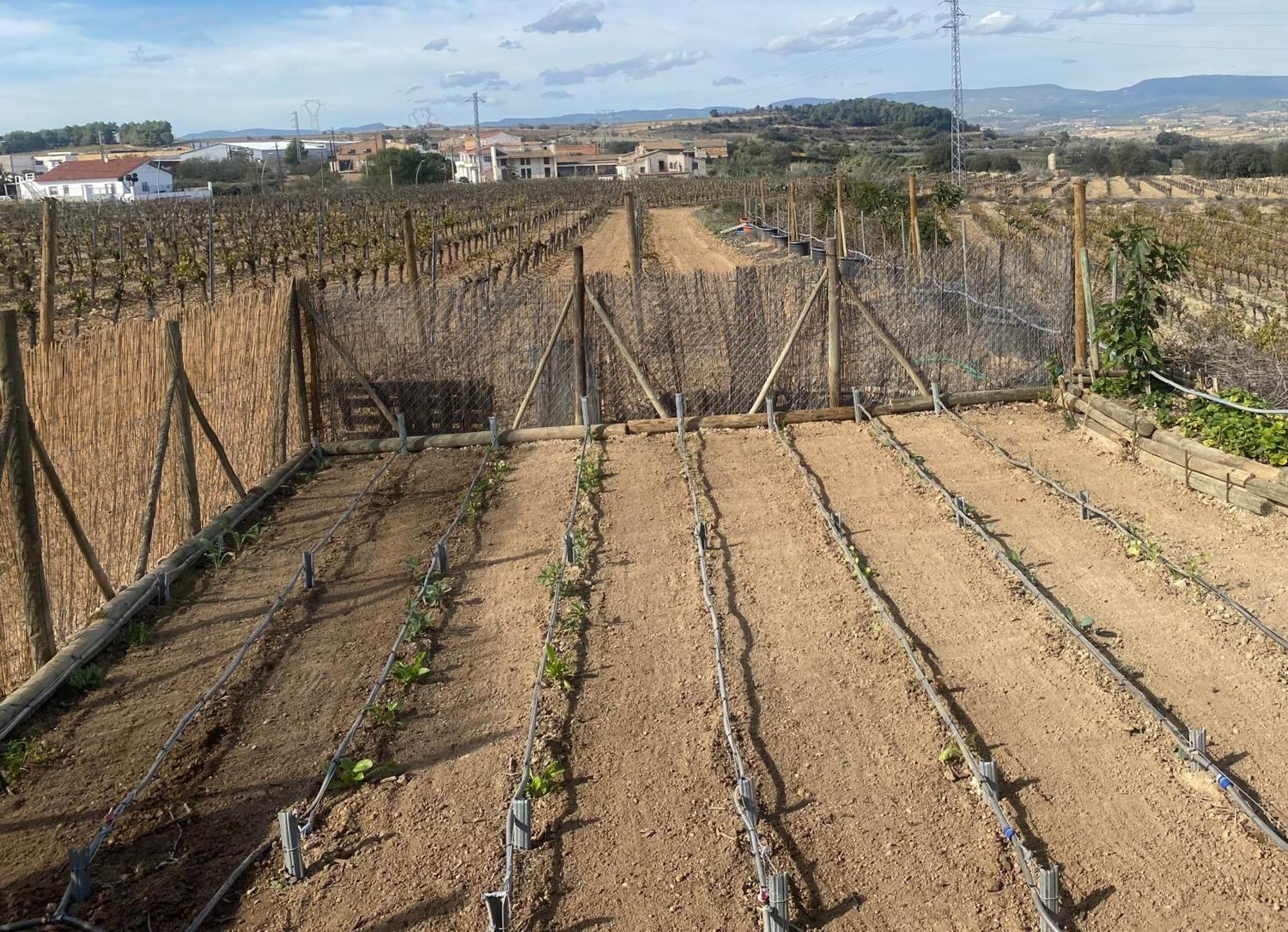 Cal Castla Villa La Granada Eksteriør billede