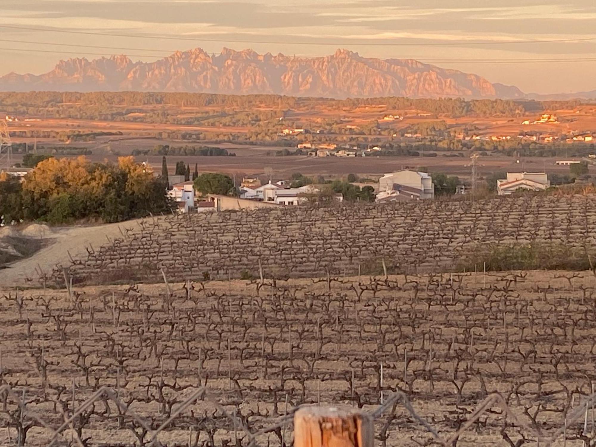 Cal Castla Villa La Granada Eksteriør billede
